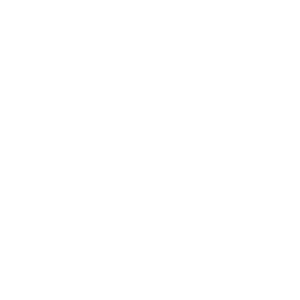 Southern Spin Chicken