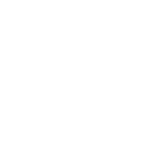 R' Burger World's Greatest Fries
