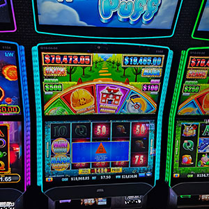 $19,610_05