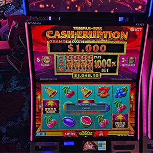 $14,295.35