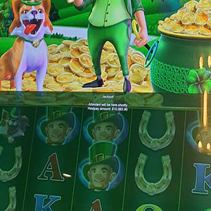 $10,993.90