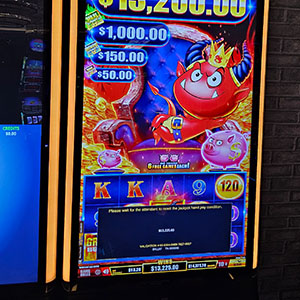 $13,225