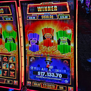 $17,133